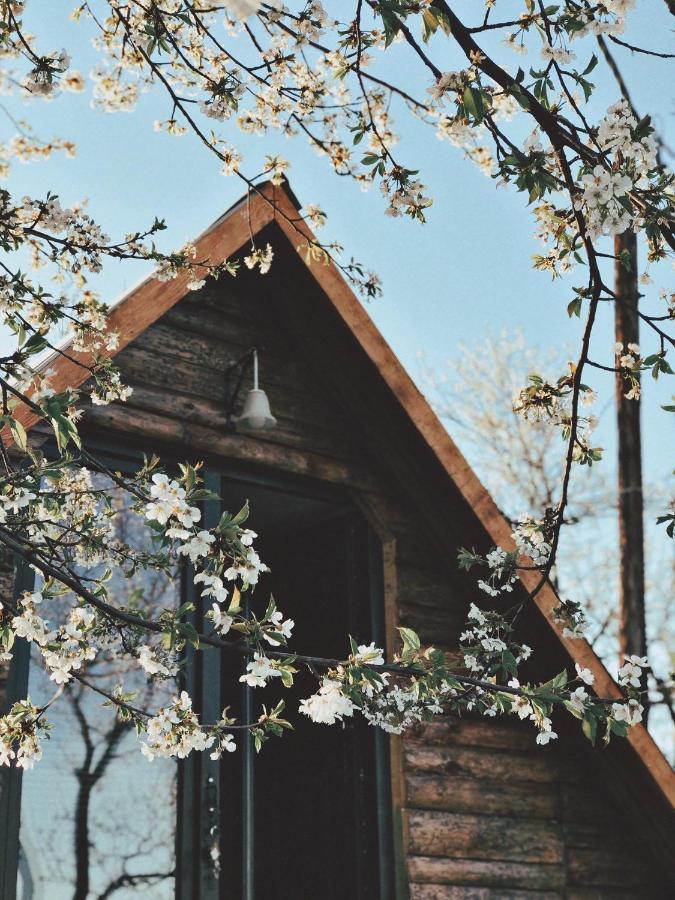Visoko Gorani Cottage Eksteriør billede